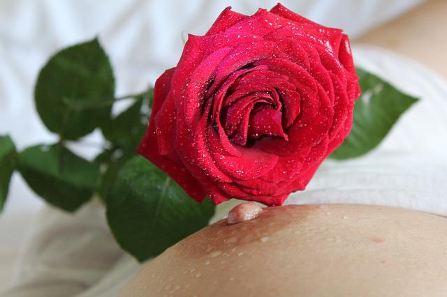 ruža na ženskom tele